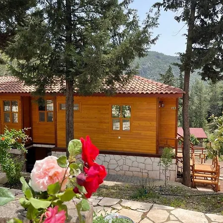 Trinitys Forest Appartement *