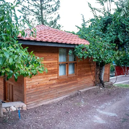 Trinitys Forest Appartement