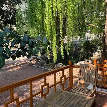 Appartement Trinitys Forest *